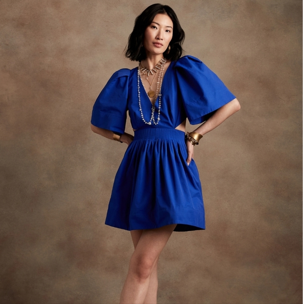 Banana Republic Dress Size 10